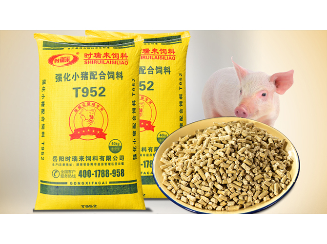 強(qiáng)化小豬配合飼料T952